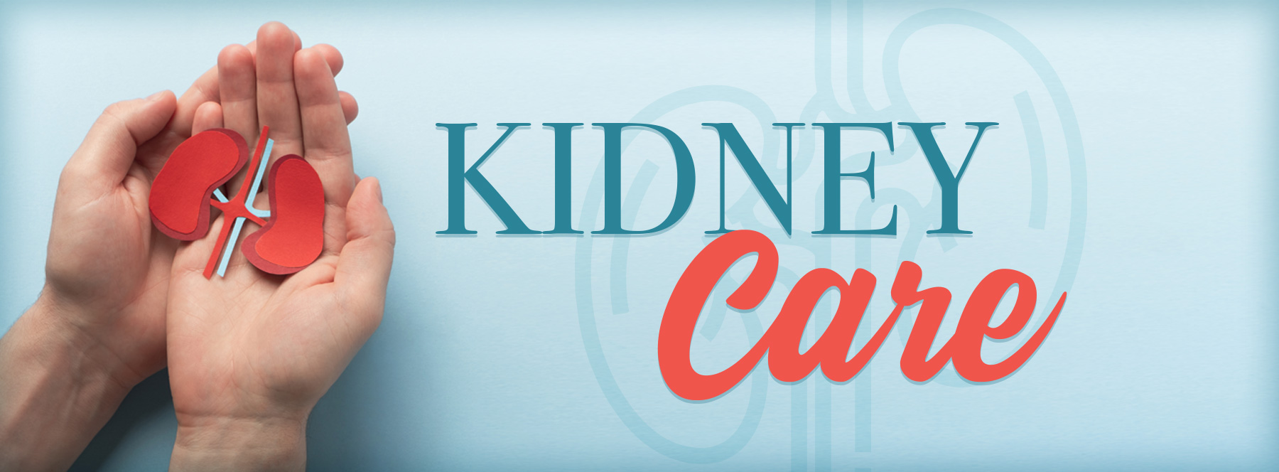 Two hands cradle a paper cutout of kidneys against a light blue background. The text "Kidney Care" is prominently displayed, suggesting health focus.